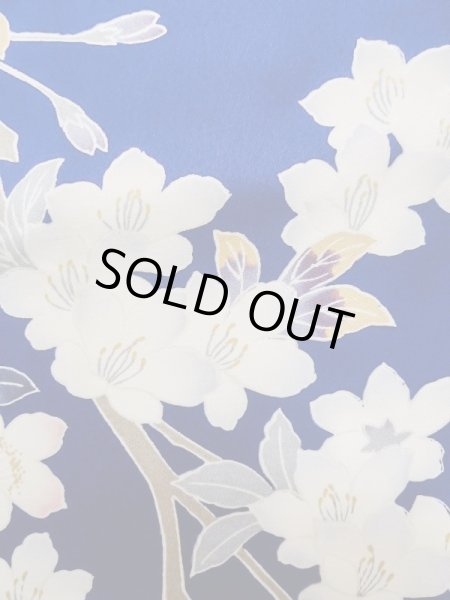 Photo12: M0328I Used Japanese women  Blue FURISODE long-sleeved / Silk. SAKURA cherry blossom float motif  (Grade C) (12)