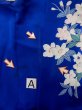 Photo20: M0328I Used Japanese women  Blue FURISODE long-sleeved / Silk. SAKURA cherry blossom float motif  (Grade C) (20)