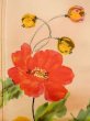 Photo7: M0328P Used Japanese womenPale Light Orange TSUKESAGE formal / Silk. Flower   (Grade C) (7)