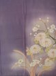 Photo6: M0329B Used Japanese women  Wisteria Kids / Silk. Peony,   (Grade D) (6)