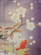 Photo9: M0329B Used Japanese women  Wisteria Kids / Silk. Peony,   (Grade D) (9)