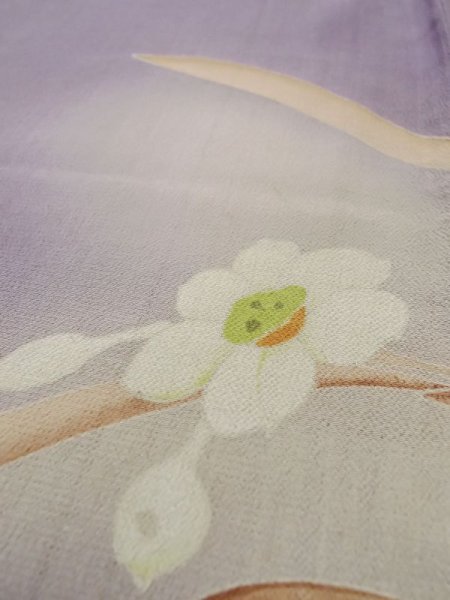 Photo11: M0329B Used Japanese women  Wisteria Kids / Silk. Peony,   (Grade D) (11)