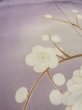 Photo13: M0329B Used Japanese women  Wisteria Kids / Silk. Peony,   (Grade D) (13)