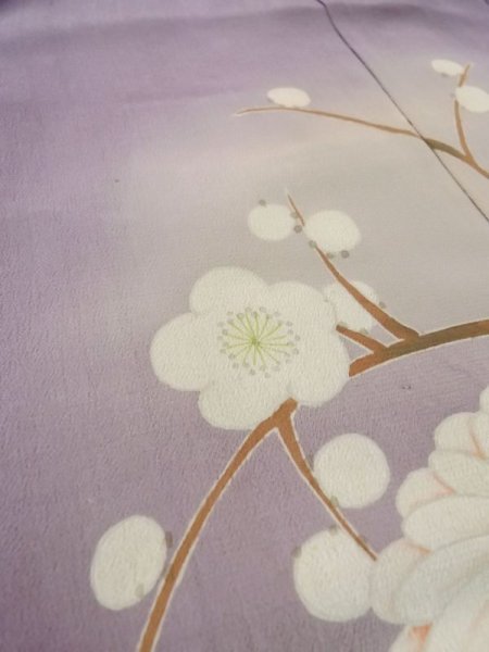 Photo13: M0329B Used Japanese women  Wisteria Kids / Silk. Peony,   (Grade D) (13)