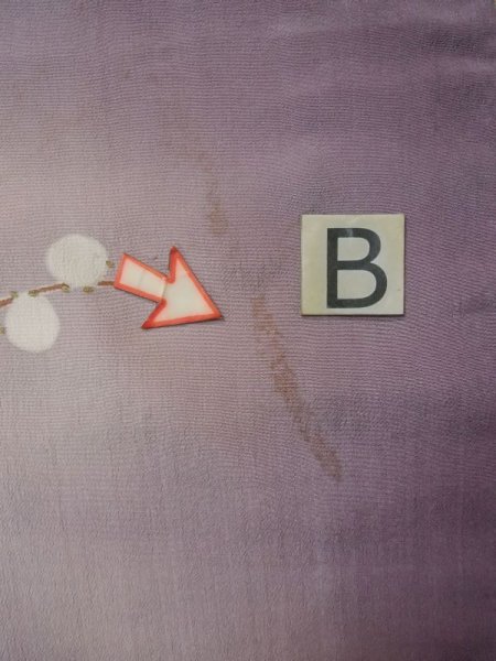 Photo19: M0329B Used Japanese women  Wisteria Kids / Silk. Peony,   (Grade D) (19)