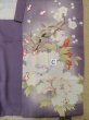 Photo20: M0329B Used Japanese women  Wisteria Kids / Silk. Peony,   (Grade D) (20)