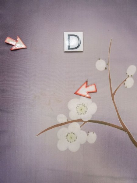 Photo21: M0329B Used Japanese women  Wisteria Kids / Silk. Peony,   (Grade D) (21)