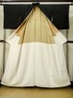 Photo3: M0330A Used Japanese women  Black TOMESODE formal / Silk. Peony,   (Grade B) (3)
