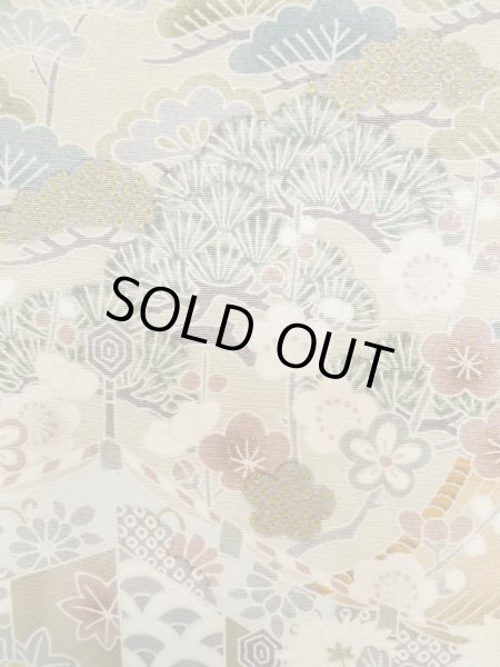 Photo7: M0330B Used Japanese women  Beige TSUKESAGE formal / Silk. Peony,   (Grade B) (7)