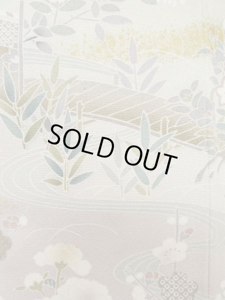 Photo10: M0330B Used Japanese women  Beige TSUKESAGE formal / Silk. Peony,   (Grade B) (10)