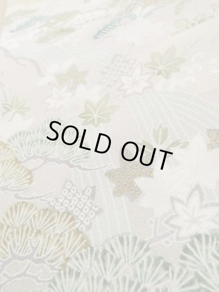 Photo11: M0330B Used Japanese women  Beige TSUKESAGE formal / Silk. Peony,   (Grade B) (11)