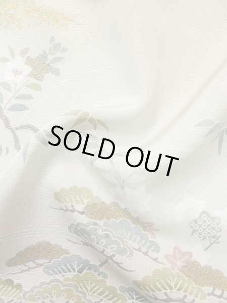 Photo19: M0330B Used Japanese women  Beige TSUKESAGE formal / Silk. Peony,   (Grade B) (19)