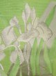 Photo4: M0523E Vintage Japanese Kimono  Vivid Yellowish Green NAGOYA OBI sash Iris Silk. (Grade B) (4)