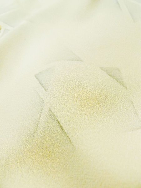 Photo11: M0720E Used Japanese women  Off White KOMON dyed / Silk. Flower,   (Grade C) (11)