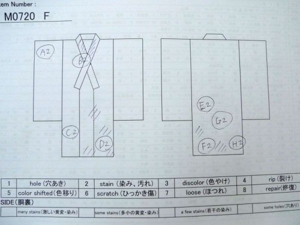 Photo13: M0720F Used Japanese women  Ivory KOMON dyed / Silk. Flower,   (Grade C) (13)