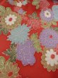 Photo10: M0720M Used Japanese women  Red KOMON dyed / Silk. Flower,   (Grade A) (10)