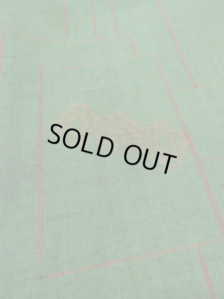 Photo8: Mint M0729C Used Japanese women  Green TSUMUGI pongee / Silk. Flower,   (Grade A) (8)