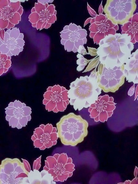 Photo3: M0914F Used Japanese women   Black YUKATA summer(made in Other than Japan) / Cotton. SAKURA cherry blossom   (Grade C) (3)