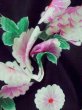 Photo10: M0914R Used Japanese women   Black YUKATA summer(made in Other than Japan) / Cotton. SAKURA cherry blossom,   (Grade C) (10)