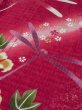 Photo7: M0914W Used Japanese women   Red YUKATA summer(made in Other than Japan) / Cotton. SAKURA cherry blossom, Morning glory, dragonfly pattern  (Grade B) (7)