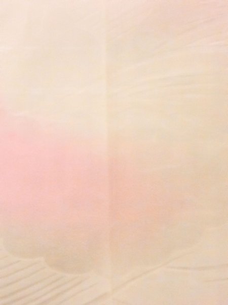 Photo6: M0923A Used Japanese women Pale Light Pink JUBAN undergarment / Synthetic. Wave,   (Grade C) (6)