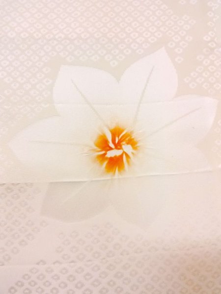 Photo5: Mint M1003H Used Japanese women  Light Pink JUBAN undergarment / Silk. Flower   (Grade A) (5)