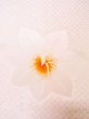 Photo6: Mint M1003H Used Japanese women  Light Pink JUBAN undergarment / Silk. Flower   (Grade A) (6)