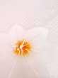 Photo9: Mint M1003H Used Japanese women  Light Pink JUBAN undergarment / Silk. Flower   (Grade A) (9)