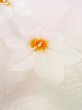 Photo10: Mint M1003H Used Japanese women  Light Pink JUBAN undergarment / Silk. Flower   (Grade A) (10)
