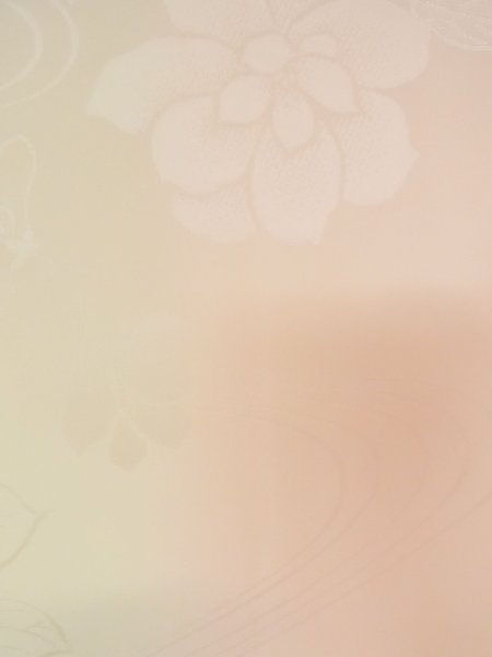 Photo6: M1003I Vintage Japanese women Pale Light Pink JUBAN undergarment / Silk. Gradation   (Grade B) (6)