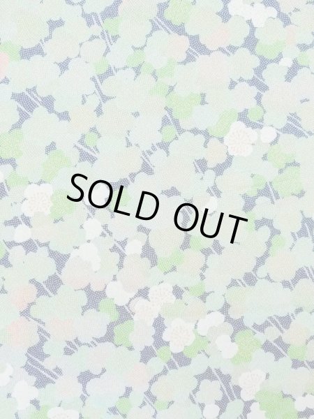 Photo3: M1025M Vintage Japanese women  Light Green HITOE unlined / Silk. UME plum bloom,   (Grade C) (3)