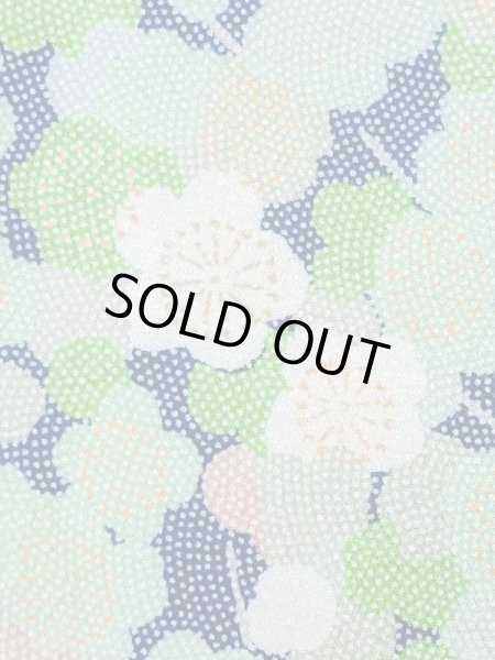 Photo5: M1025M Vintage Japanese women  Light Green HITOE unlined / Silk. UME plum bloom,   (Grade C) (5)