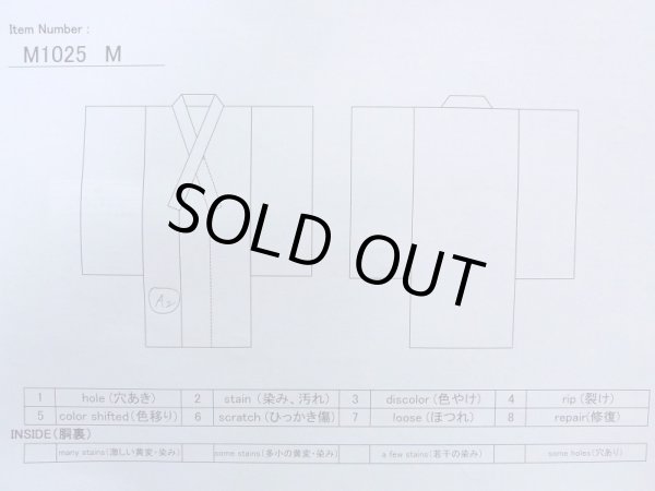 Photo13: M1025M Vintage Japanese women  Light Green HITOE unlined / Silk. UME plum bloom,   (Grade C) (13)