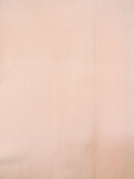 Photo3: M1121N Vintage Japanese women Pale Light Pink HAORI short jacket / Silk. Bird,   (Grade C) (3)