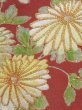 Photo7: M1215V Vintage Japanese women   Black TOMESODE formal / Silk. Chrysanthemum,   (Grade C) (7)