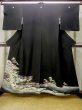 Photo1: M1215Y Vintage Japanese women   Black TOMESODE formal / Silk. Pine tree/branch/needle,   (Grade C) (1)