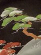 Photo10: M1215Y Vintage Japanese women   Black TOMESODE formal / Silk. Pine tree/branch/needle,   (Grade C) (10)