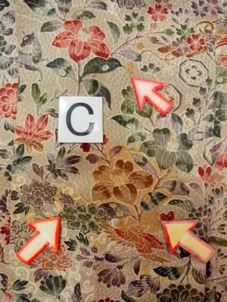 Photo16: N0130F Used Japanese women  Pale Taupe KOMON dyed / Silk. Peony,   (Grade C) (16)