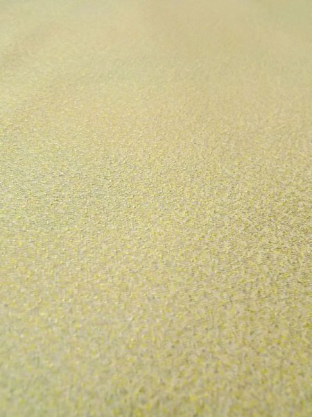 Photo7: N0130L Vintage Japanese women  Pale Yellowish Green Iromuji / Silk.    (Grade B) (7)