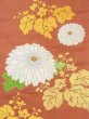 Photo2: N0216V Vintage Japanese Kimono  Grayish Vermilion NAGOYA OBI sash Chrysanthemum Silk. (Grade C) (2)