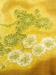 Photo5: Mint N0410B Vintage Japanese women   Golden Yellow KOMON dyed / Silk. Chrysanthemum,   (Grade A) (5)