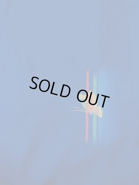 Photo4: Mint N0509Z Used Japanese women   Blue ORI woven / Silk. Butterfly,   (Grade A) (4)