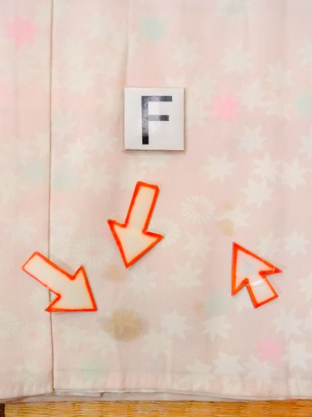 Photo19: N0611W Vintage Japanese women  Pale Pink JUBAN undergarment / Silk. Chrysanthemum,   (Grade D) (19)