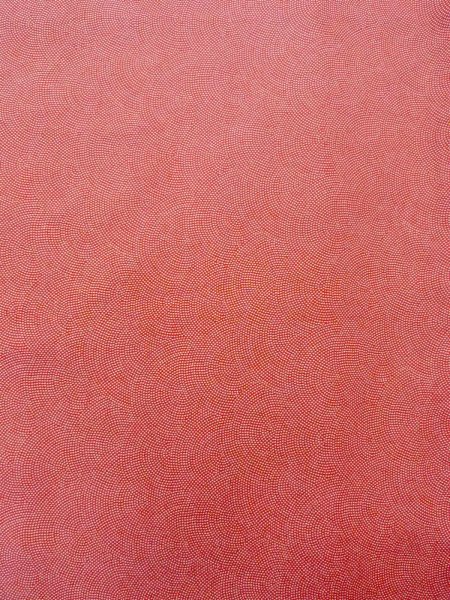 Photo4: N0814K Vintage Japanese women   Coral EDO KOMON pattern dyed / Silk.  Shark skin like pattern  (Grade B) (4)