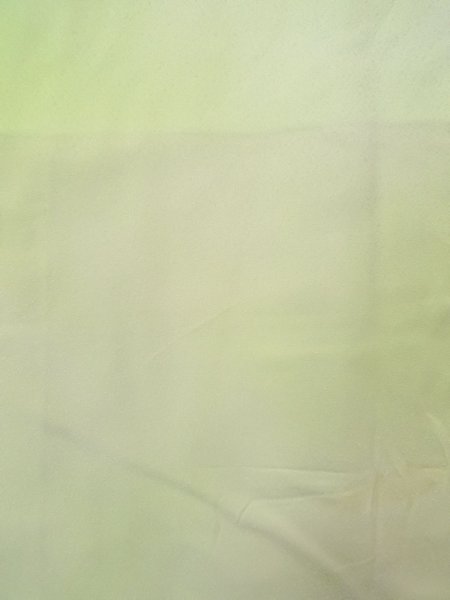 Photo5: N0814R Vintage Japanese women Shiny Pale Yellowish Green TSUKESAGE formal / Silk. KIKYO Japanese balloonflower,   (Grade C) (5)