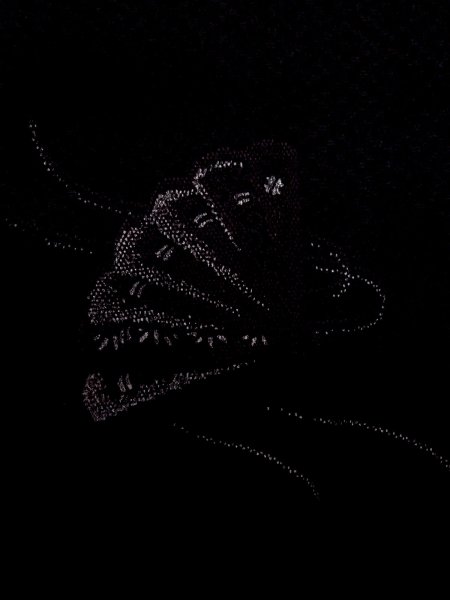 Photo5: N0920D Vintage Japanese women   Black HAORI short jacket / Silk. Folding fan   (Grade A) (5)