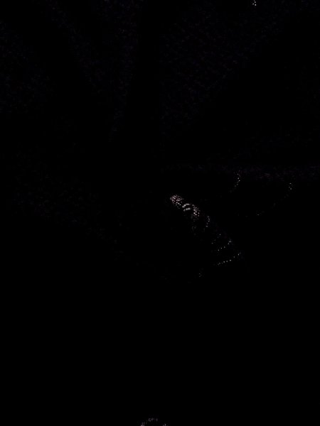 Photo9: N0920D Vintage Japanese women   Black HAORI short jacket / Silk. Folding fan   (Grade A) (9)