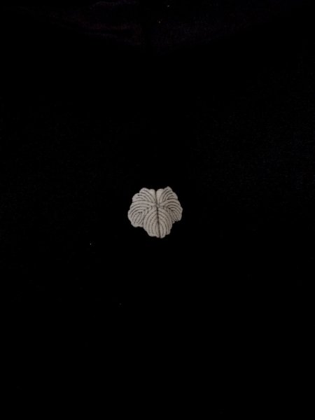 Photo3: N0920F Vintage Japanese women   Black HAORI short jacket / Silk. Leaf   (Grade A) (3)