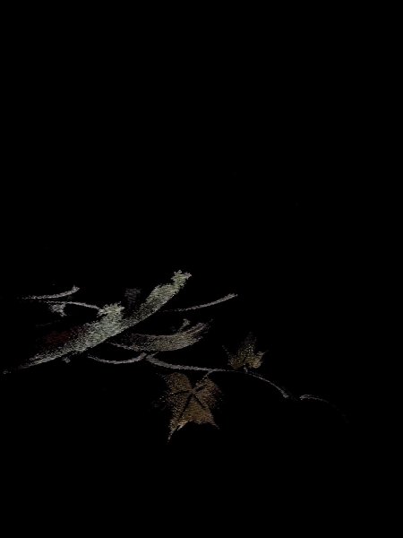 Photo4: N0920J Vintage Japanese women   Black HAORI short jacket / Silk. MOMIJI maple leaf   (Grade B) (4)