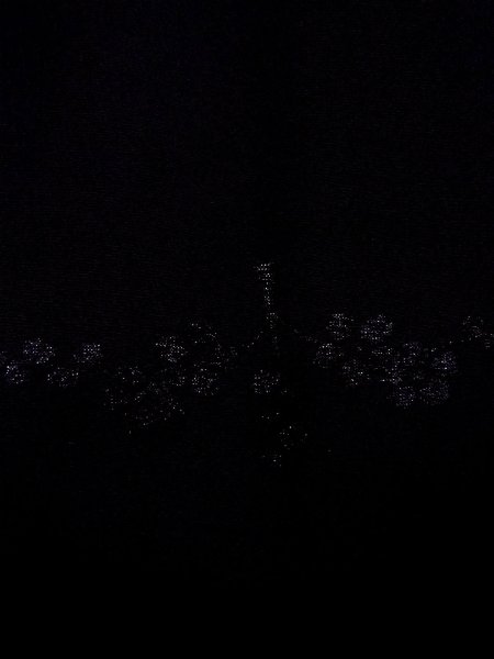 Photo8: N0930D Vintage Japanese kimono   Black HAORI short jacket for women / Silk. UME plum bloom   (Grade B) (8)